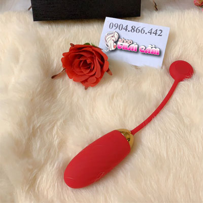 Đồ chơi tình dục