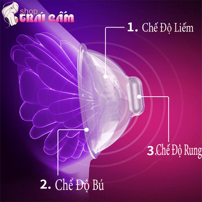 Đồ chơi tình dục