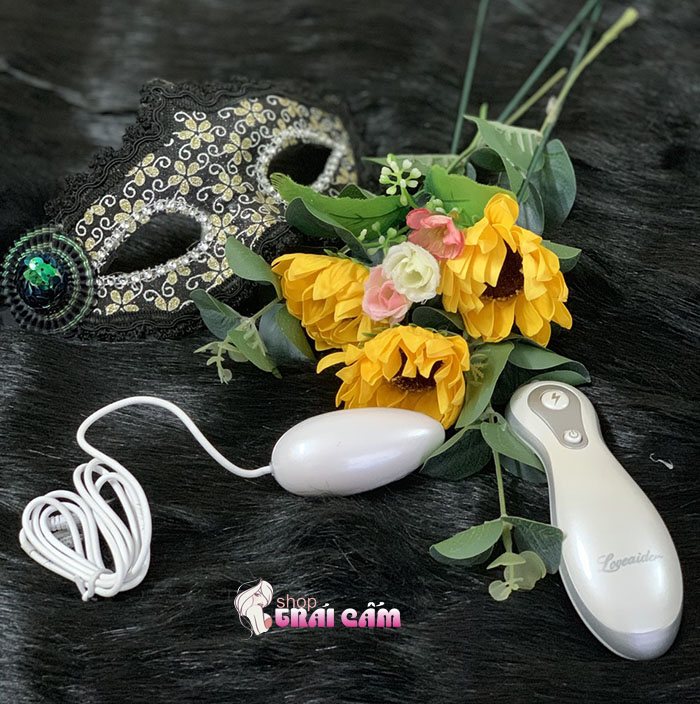 Đồ chơi tình dục